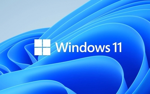 La mitad de los ordenadores no son compatibles con Windows 11 debido a los requisitos que pide el sistema operativo